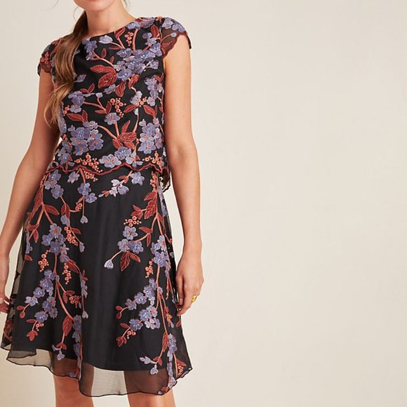 Anthropologie Dresses & Skirts - Anthropologie Alessia Embroidered Chiffon Dress